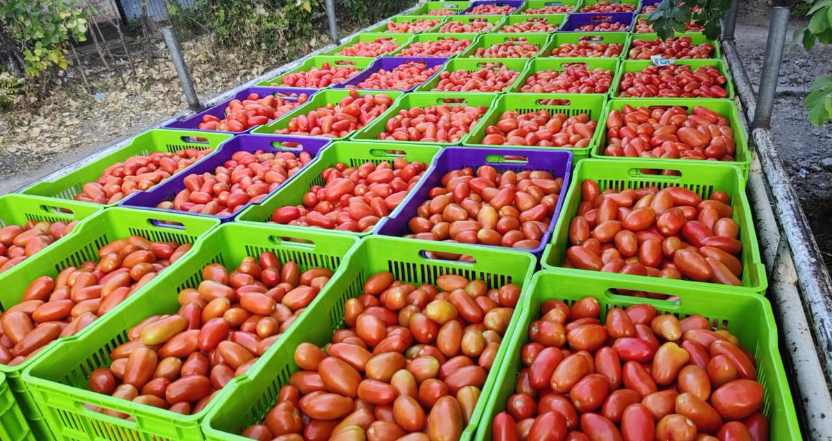 Óscar Domínguez tweet media