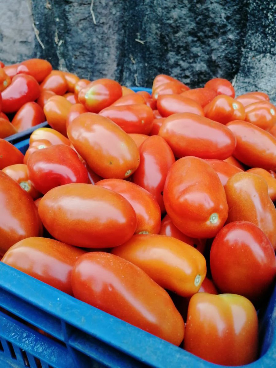 Óscar Domínguez tweet media