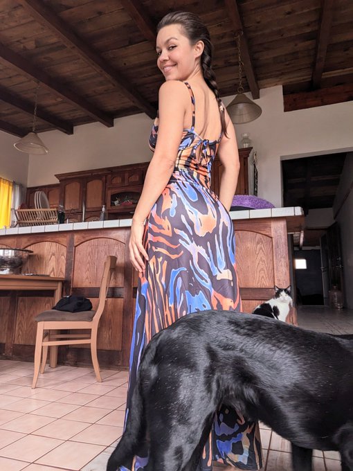 New dress  who's this (Chica and Munchie appearance) https://t.co/jGBxerLk2T