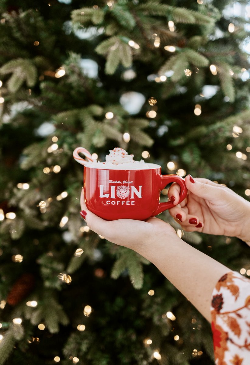 Sipping on holiday cheer, one peppermint mocha at a time! 🎄☕✨🙌🏽
