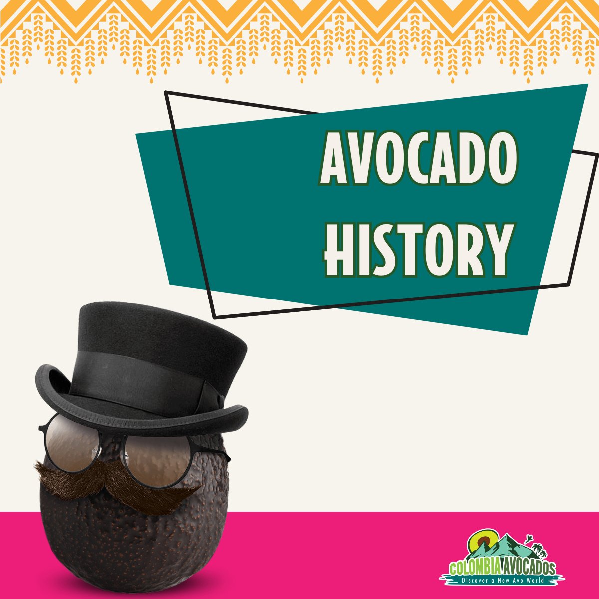 AvosColombia tweet media