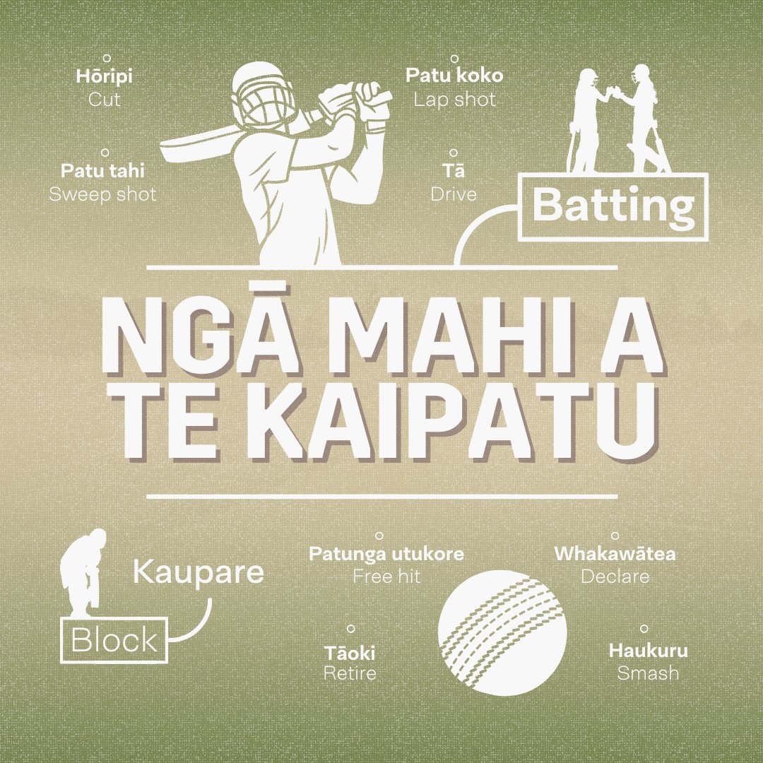 reomaori's tweet photo. 🏏 Cricket terms in te reo Māori. #reomāori @BLACKCAPS @WHITE_FERNS https://t.co/LgLWUOGbJp