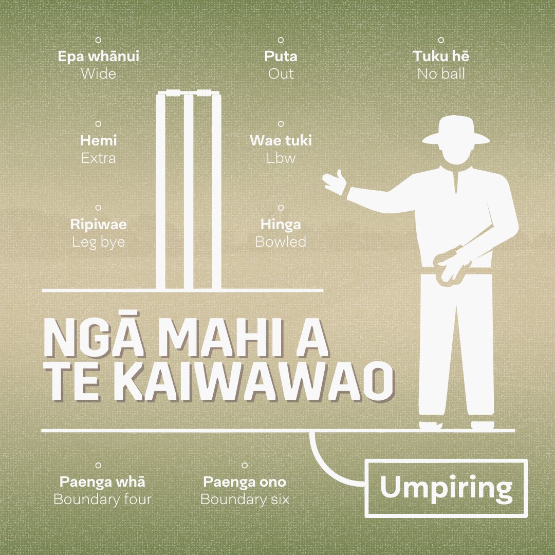 reomaori's tweet photo. 🏏 Cricket terms in te reo Māori. #reomāori @BLACKCAPS @WHITE_FERNS https://t.co/LgLWUOGbJp