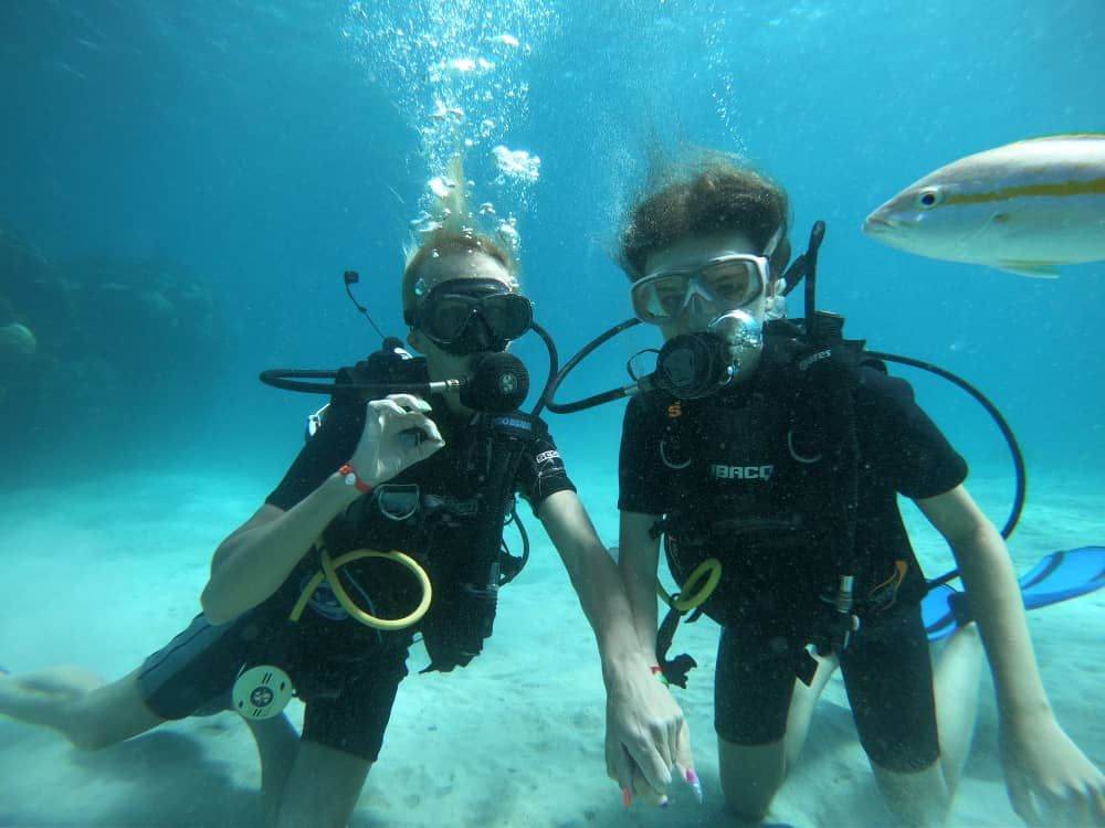 MinturCuba's tweet photo. Buceo  en Cuba - Una experiencia inolvidable. #Cuba #CubaUnica https://t.co/RnPUOAdgDL https://t.co/f4CRYuLwtE https://t.co/l53jHTViZ2 https://t.co/ztLm4GENw2 https://t.co/JMvJTH81lu