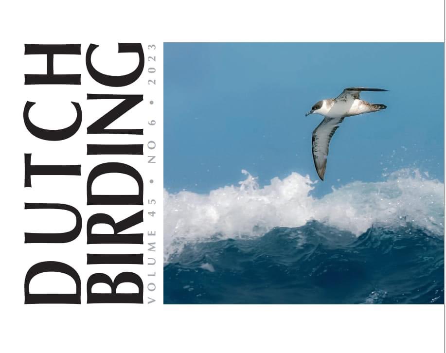 A new issue of Dutch Birding (45-6) is now out! The last issue of the year includes the yearly report by the Dutch rarities committee (CDNA), about rare birds in the Netherlands in 2022; it presents 255 accepted records, with three species new to the Dutch dutchbirding.nl/journal