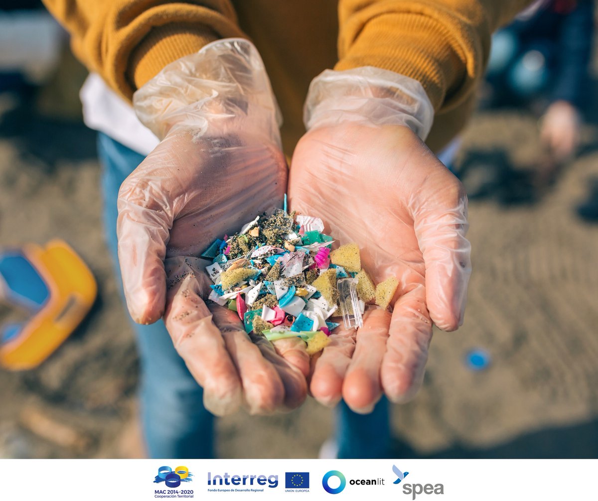 Oceanlitproject tweet media