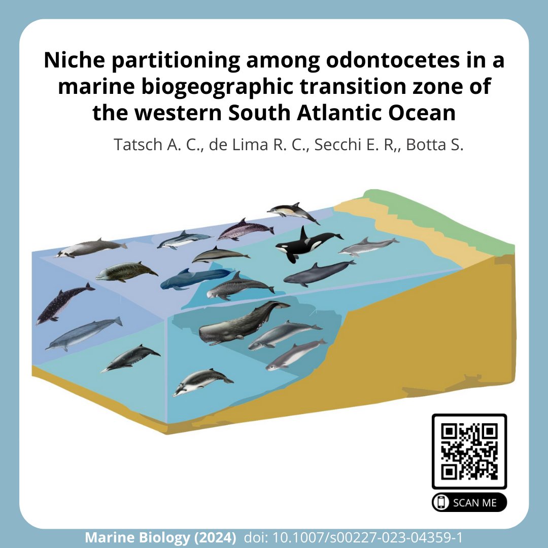 🚨🚨Check out our new paper on odontocete habitat and resource partitioning in the western South Atlantic. Follow the thread for the highlights 👇 link.springer.com/article/10.100…