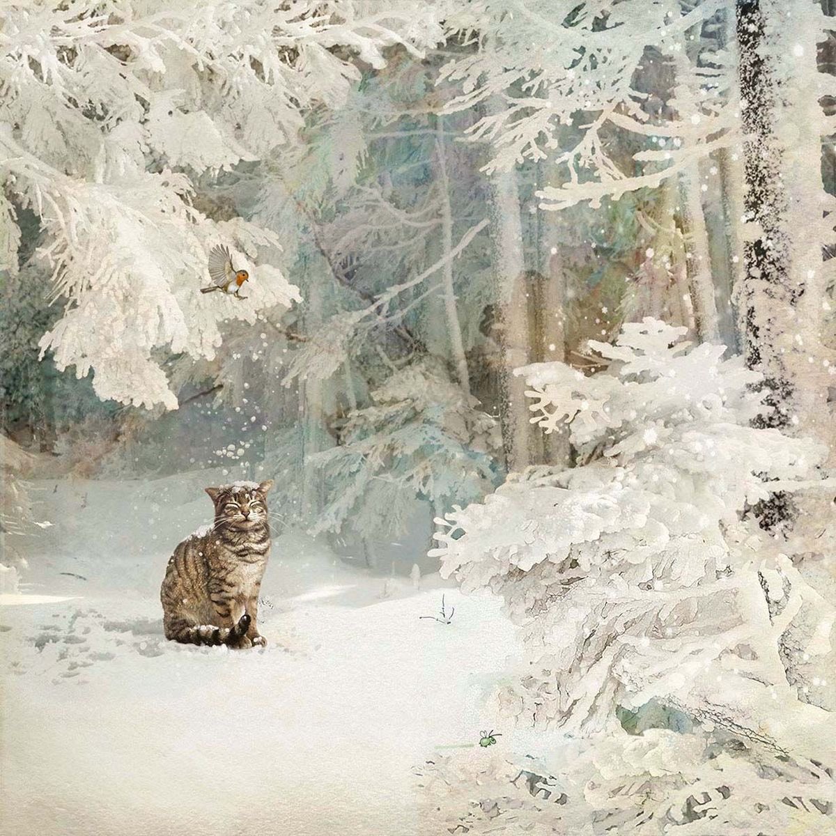 Snow Cat ~ Jane Crowther