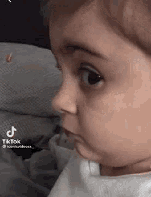 Linus qklol tweet media