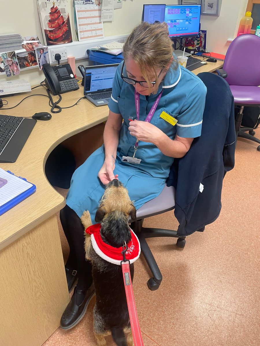 Santa Paws came to visit both patients and staff today, putting a smile on all our faces 🎅🏻 🐶 #petsastherapy #therapydog #generalrehabunit #notjustexercises