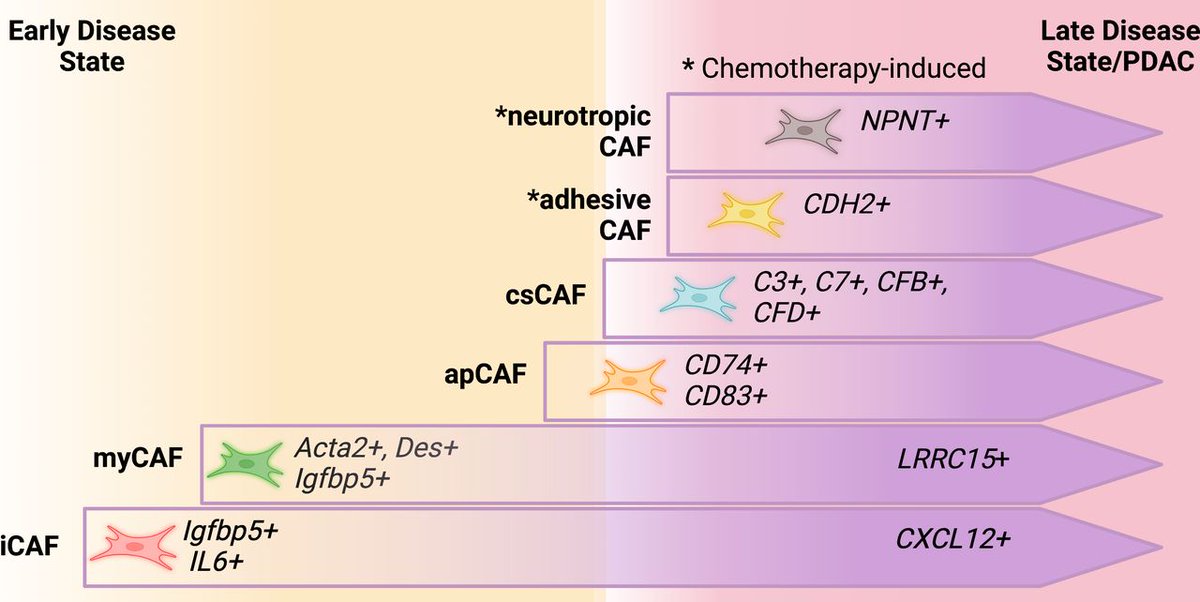 The 6th #TopGUTPaper2023 from #June2023 by @CephasScience et al on “It is better to light a candle than to curse the darkness: single-cell transcriptomics sheds new light on pancreas...” via bit.ly/3GMi1gd Podcast: bit.ly/489D3RR @delgiornokathy @VanderbiltU