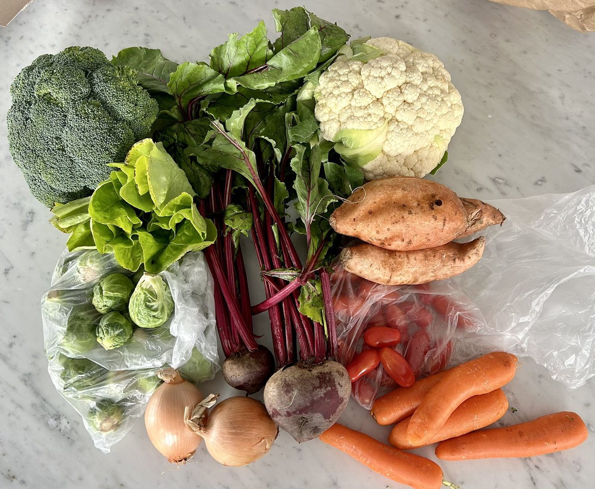 When your neighbor goes out of town and asks if you’d like to pick up their CSA for the week…say yes! Check out this beautful spread! Now to figure out all the ways to use it.