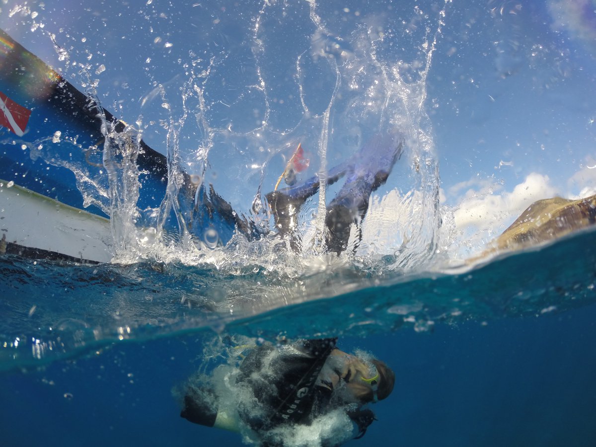 'I want everybody to go jump in the ocean to see for themselves how beautiful it is.' @SylviaEarle Photo by Angelo Villagomez @TaotaoTasi