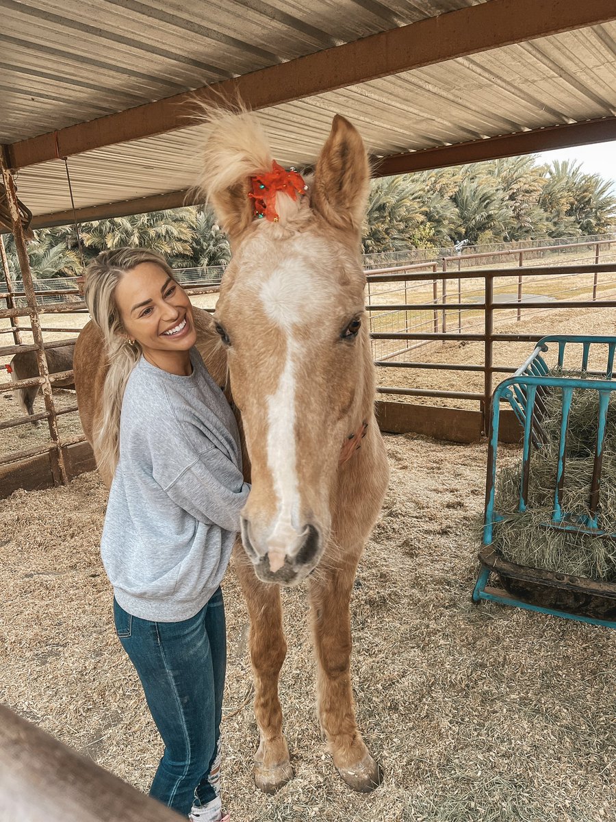 Here’s a last minute gift idea for the animal lover in your life… 🎁 Book a tour at your local #animalsanctuary! 🙌🏼🐮 Most sanctuaries offer tours where you can learn about the residents & interact with them! This is also a way that they raise funds for they work that they do!