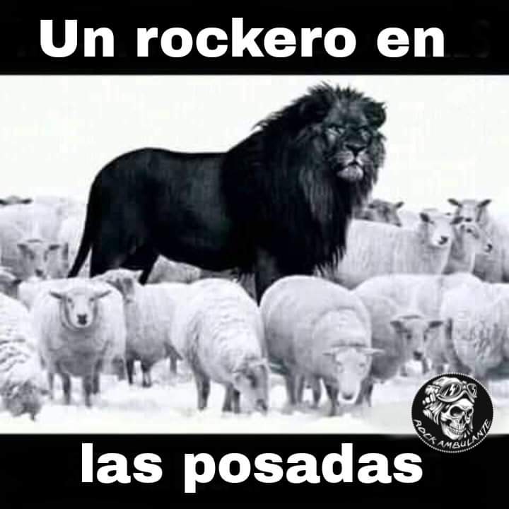 🤘🏻😎🪅🎄

#PosadasNavideñas 
#QueremosRock