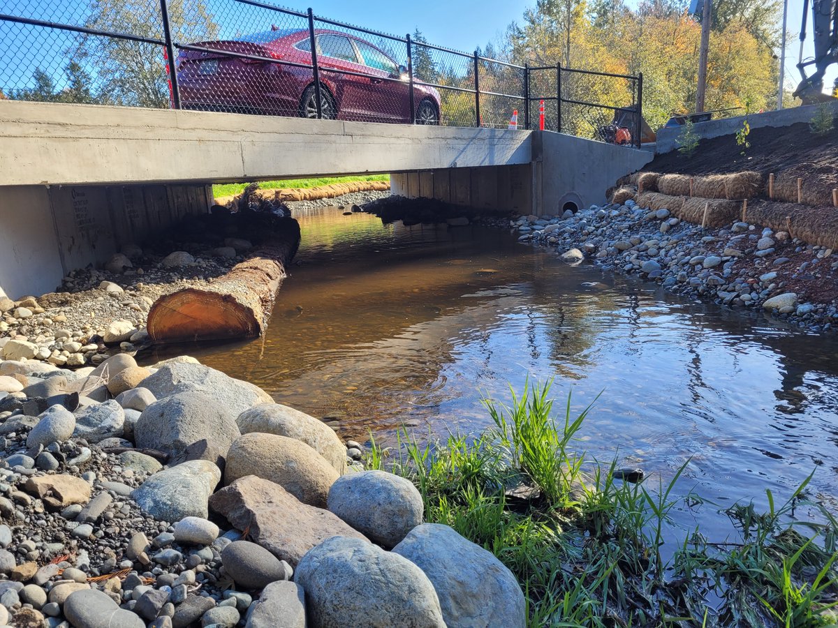Check out these photos of fish swimming near the new 284th culvert just south of Enumclaw. 

<a href="/KCCReaganDunn/">Reagan Dunn</a> <a href="/KCDNRP/">King County Natural Resources and Parks</a>