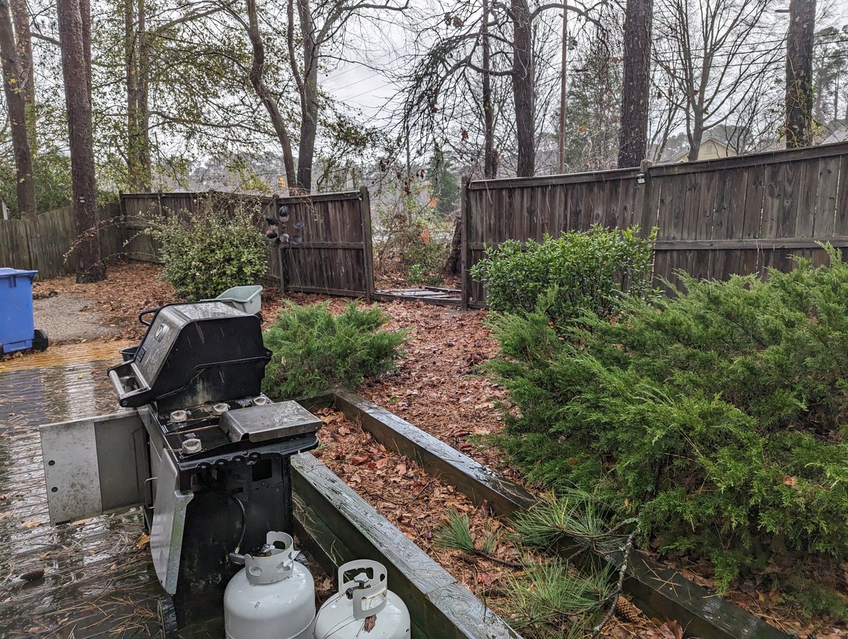 Red Adept Publishing tweet media