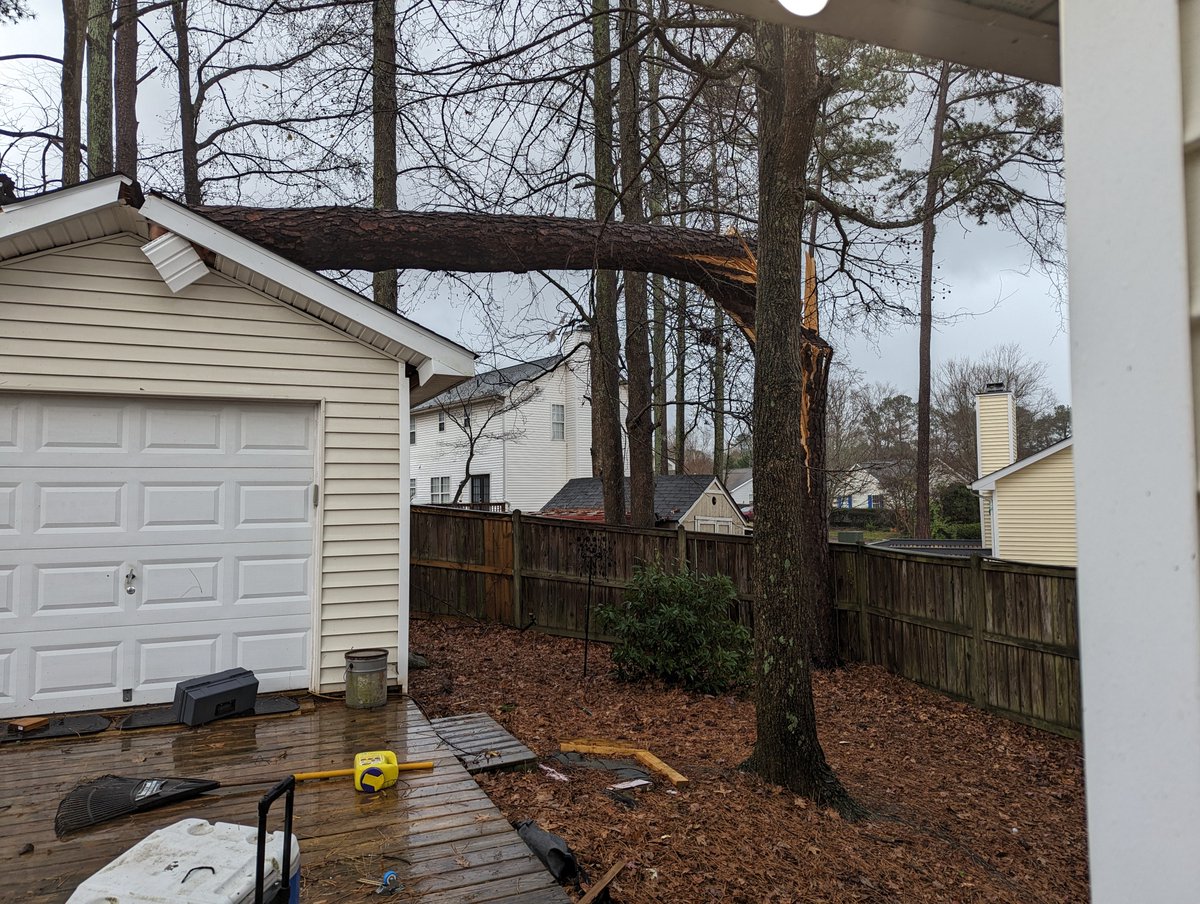 Red Adept Publishing tweet media