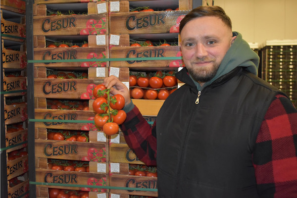 'Good sales of Turkish tomatoes, but not as crazy as last year' hortidaily.com/article/958740…