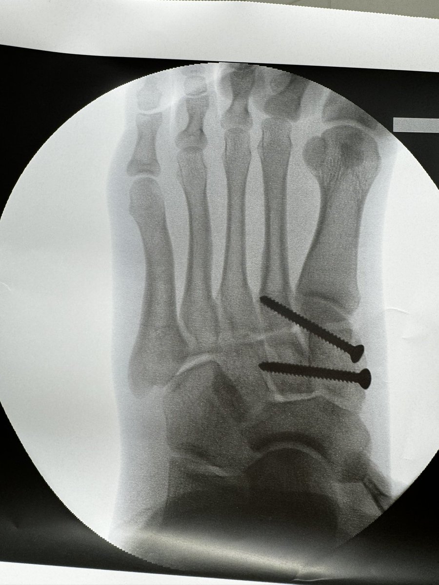 emorris26 tweet media