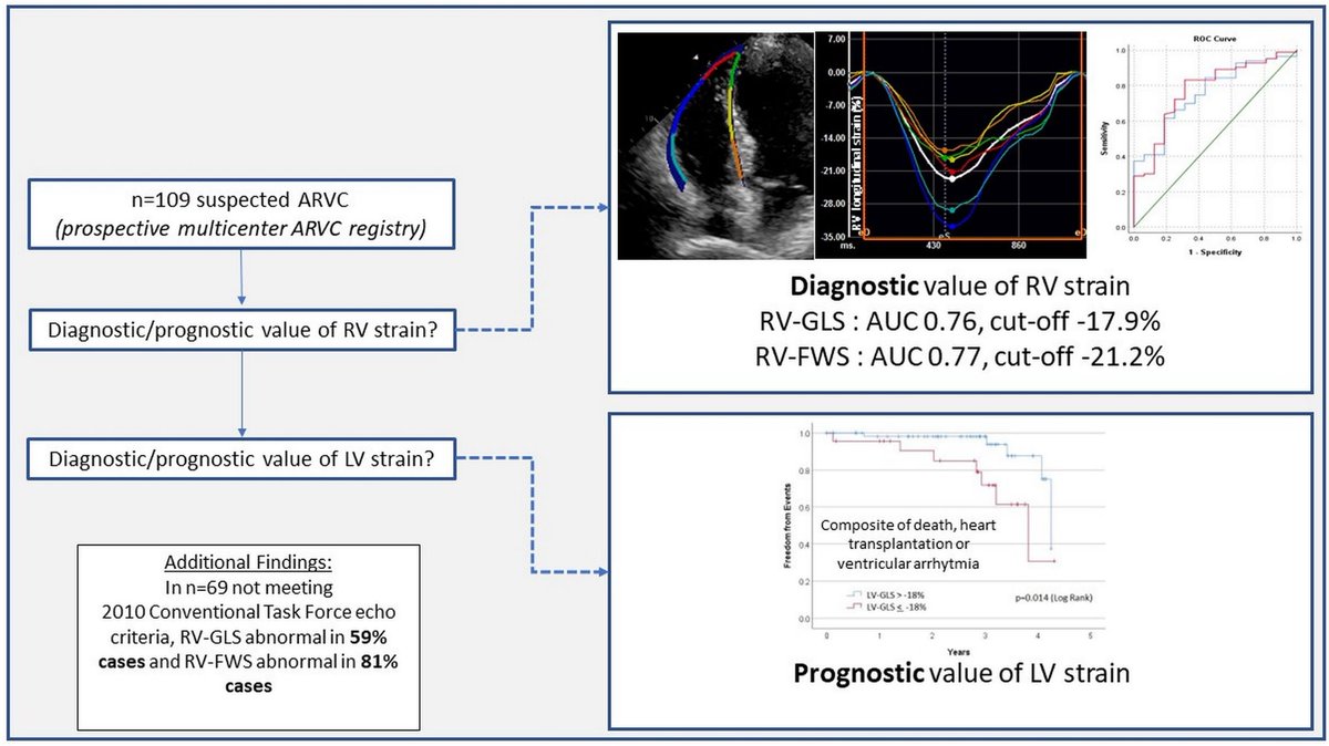 In this prospective multicenter ARVC registry, RV strain augments ARVC diagnosis; LV strain augments prognostication @MayoNamasivayam @Ph_Bertrand @dysanborn @MGHHeartHealth #EchoFirst #AHAJournals @JiwonKimMD @kaznegishi ahajrnls.org/48JOMGT