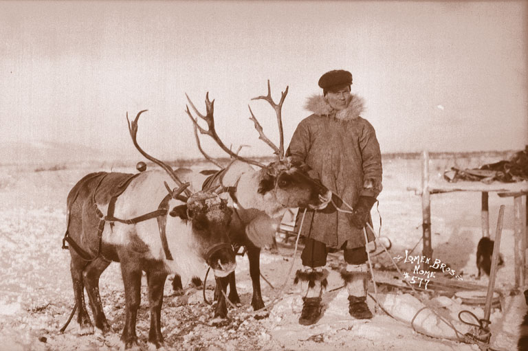 cute_history's tweet photo. Reindeer rules: "You don't lead a herd; the herd leads you," said Sami herder Andrew Bahr, Canada, 1915. You're welcome, Santa!
https://t.co/DbqxVDnUGe
#DiggingTheWorld ๐ https://t.co/GANuHk5CSr