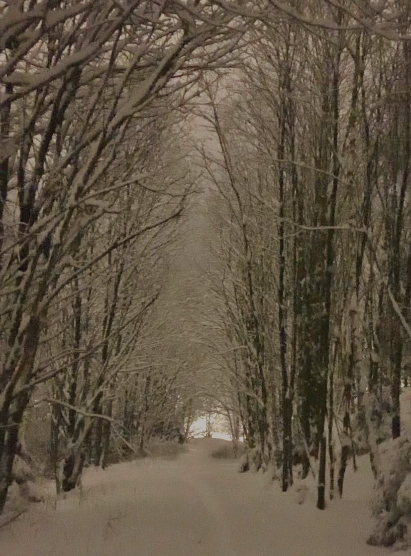 Evet geceyi aydınlatan karlı geceleri severim. Yolun diğer tarafında sokak lambasına baktığımda aşağıya doğru inen o kar tanelerini izlemek terapi gibi ❄️😊