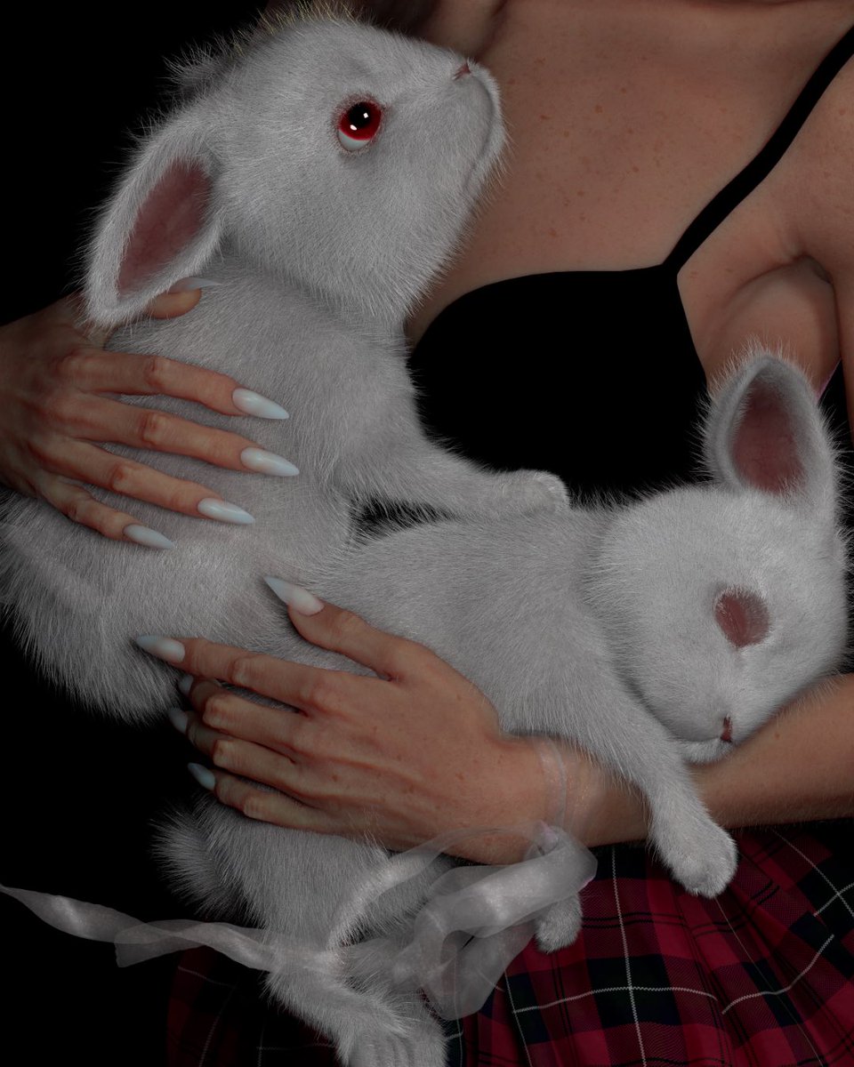 Gm🐰
💕bunny my new fav