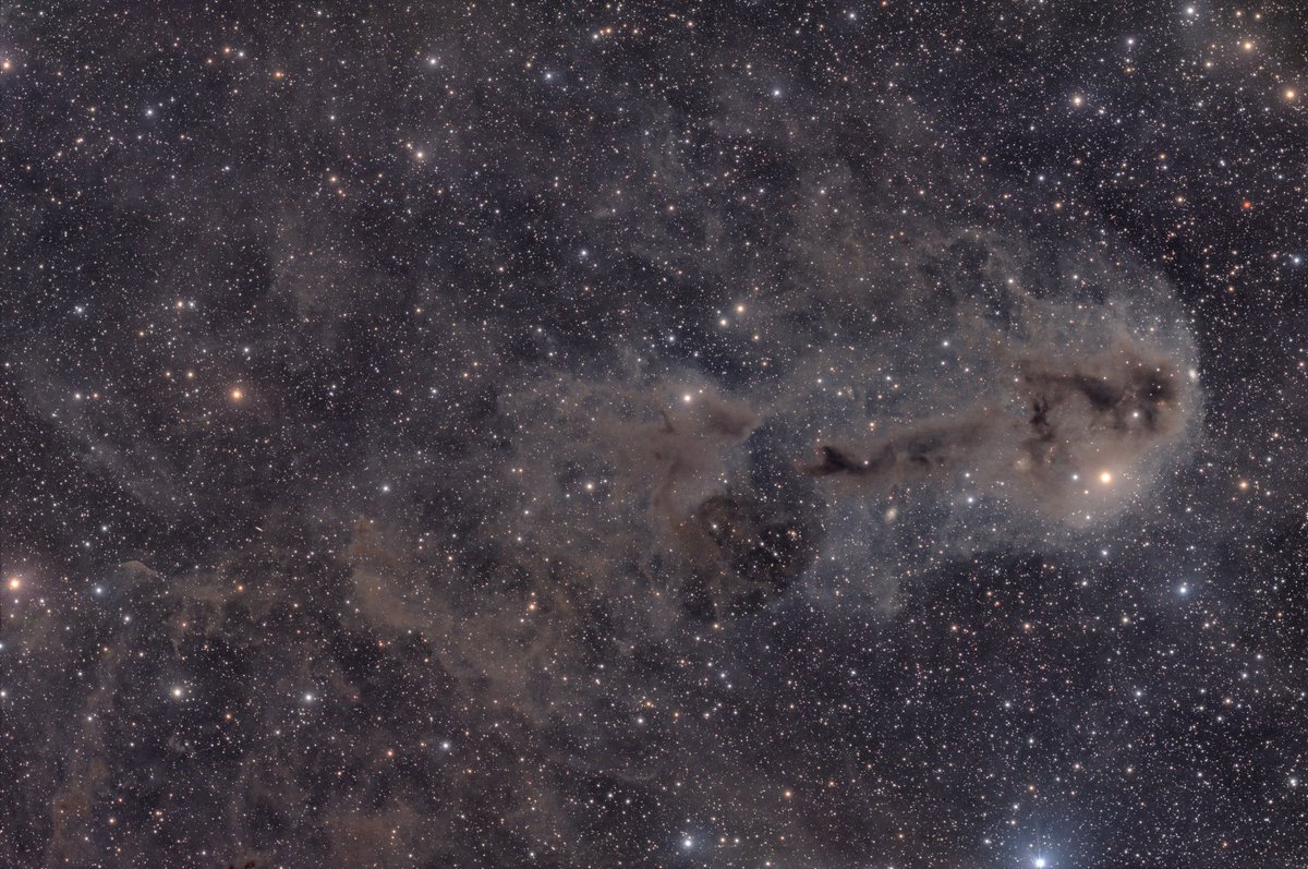 Scotia Astro (@scotiaastro) on Twitter photo Here’s my latest capture in the constellation of Cepheus…it’s a dark nebula target popularly known as the Rotten Fish Nebula…but despite the negative connotations of its name, I think it’s rather pretty, don’t you? 🔭📸🐡 #Astrophotography #Space #ThePhotoHour <a href="/FLO_UK/">First Light Optics</a> Here’s my latest capture in the constellation of Cepheus…it’s a dark nebula target popularly known as the Rotten Fish Nebula…but despite the negative connotations of its name, I think it’s rather pretty, don’t you? 🔭📸🐡 #Astrophotography #Space #ThePhotoHour <a href="/FLO_UK/">First Light Optics</a>