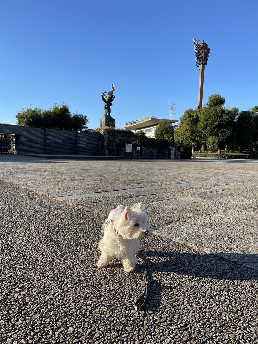 nasuke03's tweet image. 寒いけどいい天気
今日も一日ご安全に😊