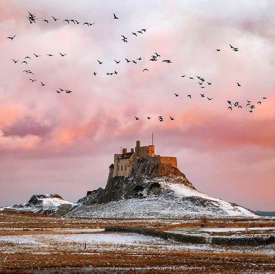 Well done to this weeks #photocompetition winner with a wonderful ❄️📸of Lindisfarne Castle @carolmacleod