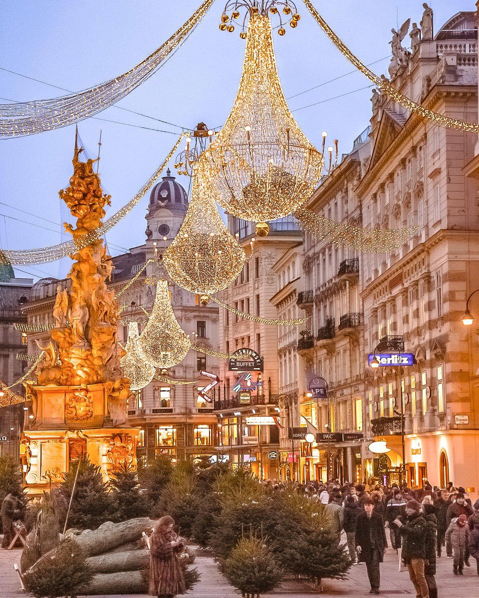 Vienna, Austria, during Christmas season 📷by Alexandra Koukouraki @AlexandraDts #holidayseason #ChristmasVibes #travel