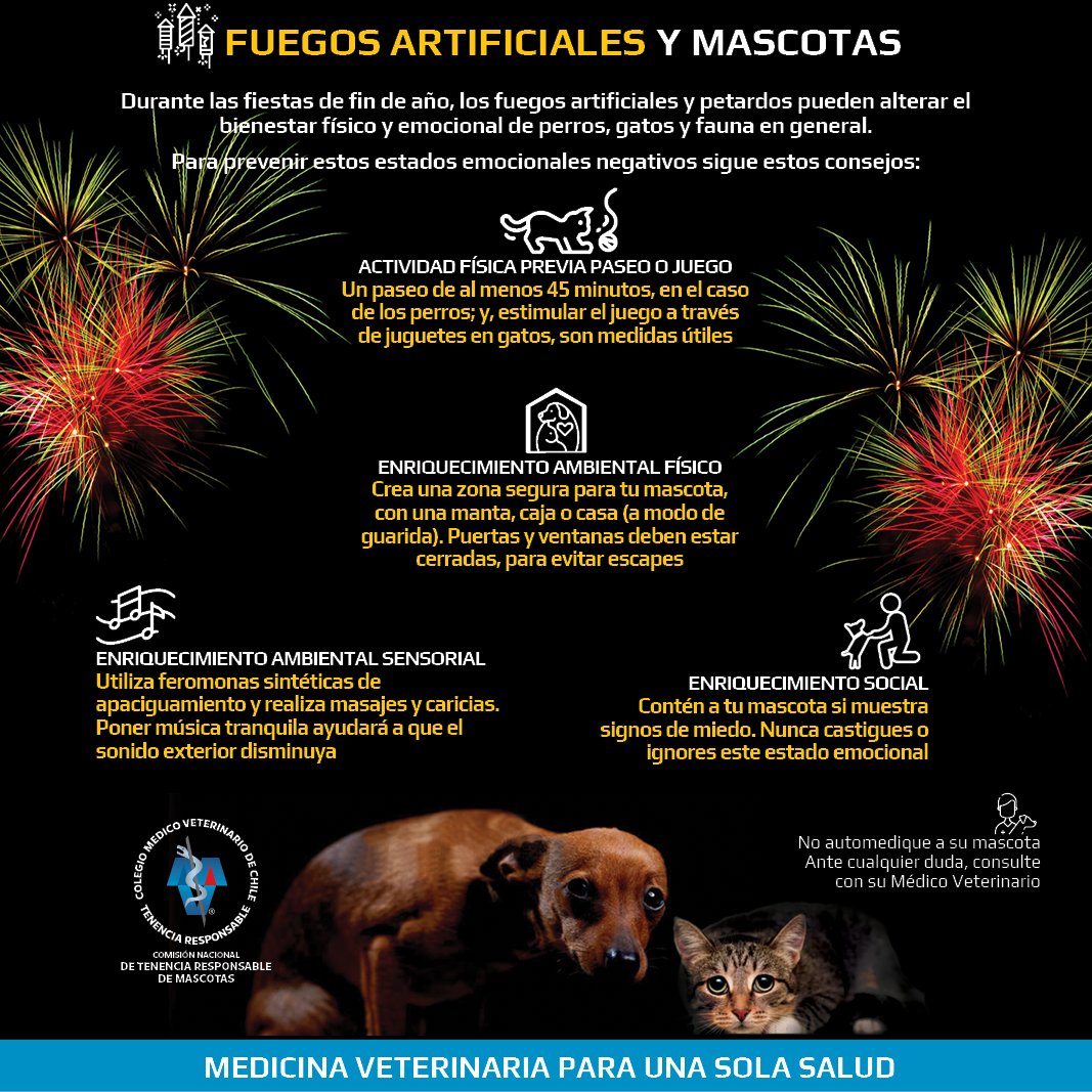 Que las fiestas de Año Nuevo no sean sufrimiento para parte de tu familia! Como Colmevet, te entregamos algunos consejos para cuidar a tu mascotas de los efectos provocados por el lanzamiento de fuegos artificiales. #SintienciaAnimal #BienestarAnimal #UnaSalud