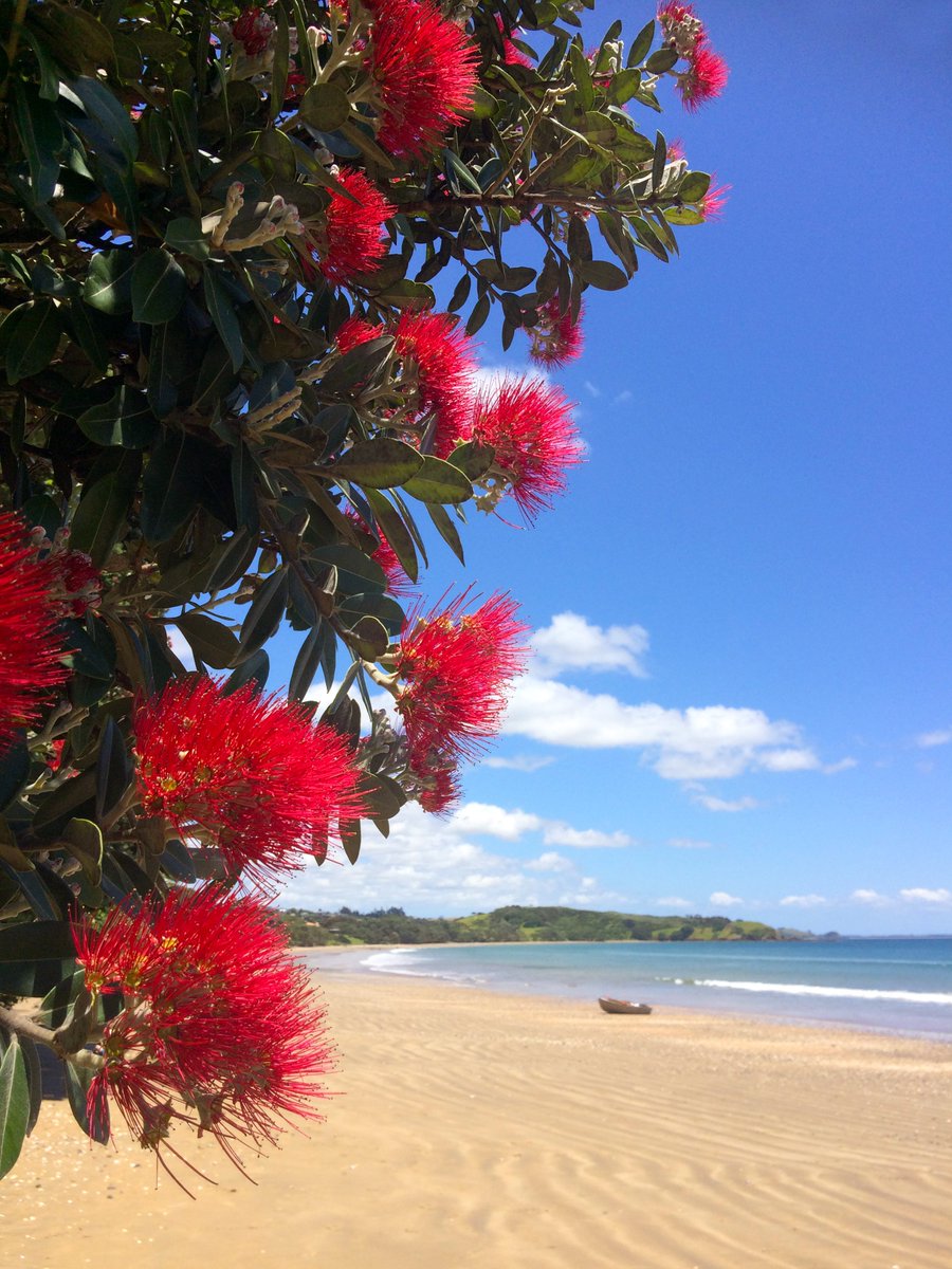 The HRC will be closed for the Christmas/New Year period from 22 December 2023 through to 5 January 2024. We will reopen again on 8 January 2024. Wishing everyone a safe, happy and restful holiday season. Ngā mihi o te Kirihimete me te Tau Hou.