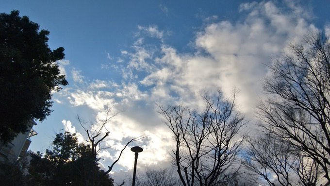 「枯れ木 雲」のTwitter画像/イラスト(新着)｜3ページ目