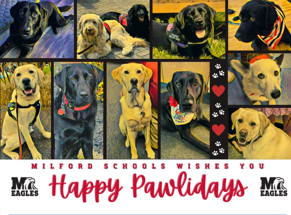 Love working in a district with all these dogs.  They mean so much to so many.  <a href="/Milford_Schools/">Milford Schools</a> is celebrating the Pawlidays.  By the end of the year - every school will have a dog.  Thankful for our staff <a href="/jennieberkley/">Jennie Berkley</a> <a href="/Milford_Super/">MilfordSuper</a> @DrDunnEdu <a href="/circletail/">Circle Tail, Inc.</a>
