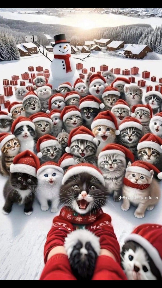 Cute Kitty Carolers 🎶😻🎶⛄️
#Kitties #ChristmasCarols 🎶
#MerryChristmas #AnimalLovers