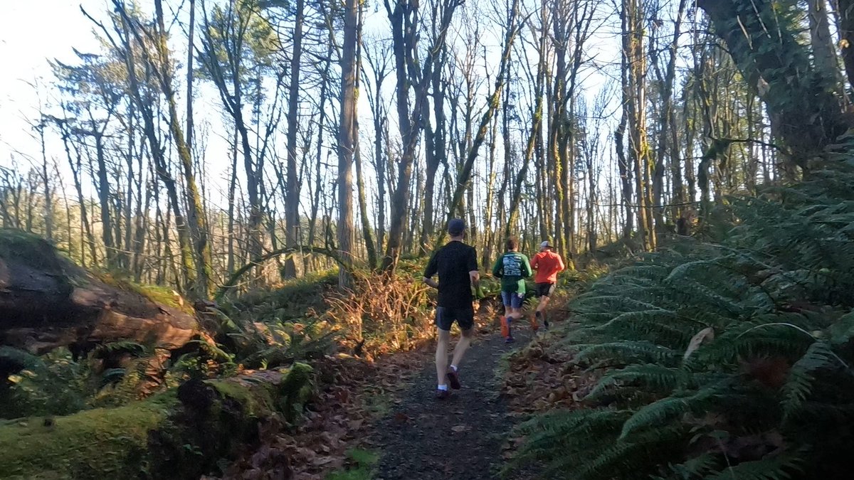 Jeff Patterson tweet media