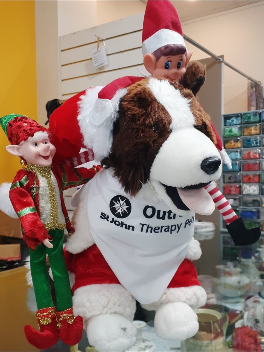 Elf on a (cute toy wearing a lovely Therapy Pets outfit) shelf 😍 Same thing, right? 😄 📷 St John Invercargill Retail Store #StJohnRetailStore #Christmas #ElfOnAShelf #Holidays