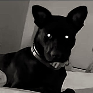 "I want waffle fries" https://t.co/HuwMnd3sZh