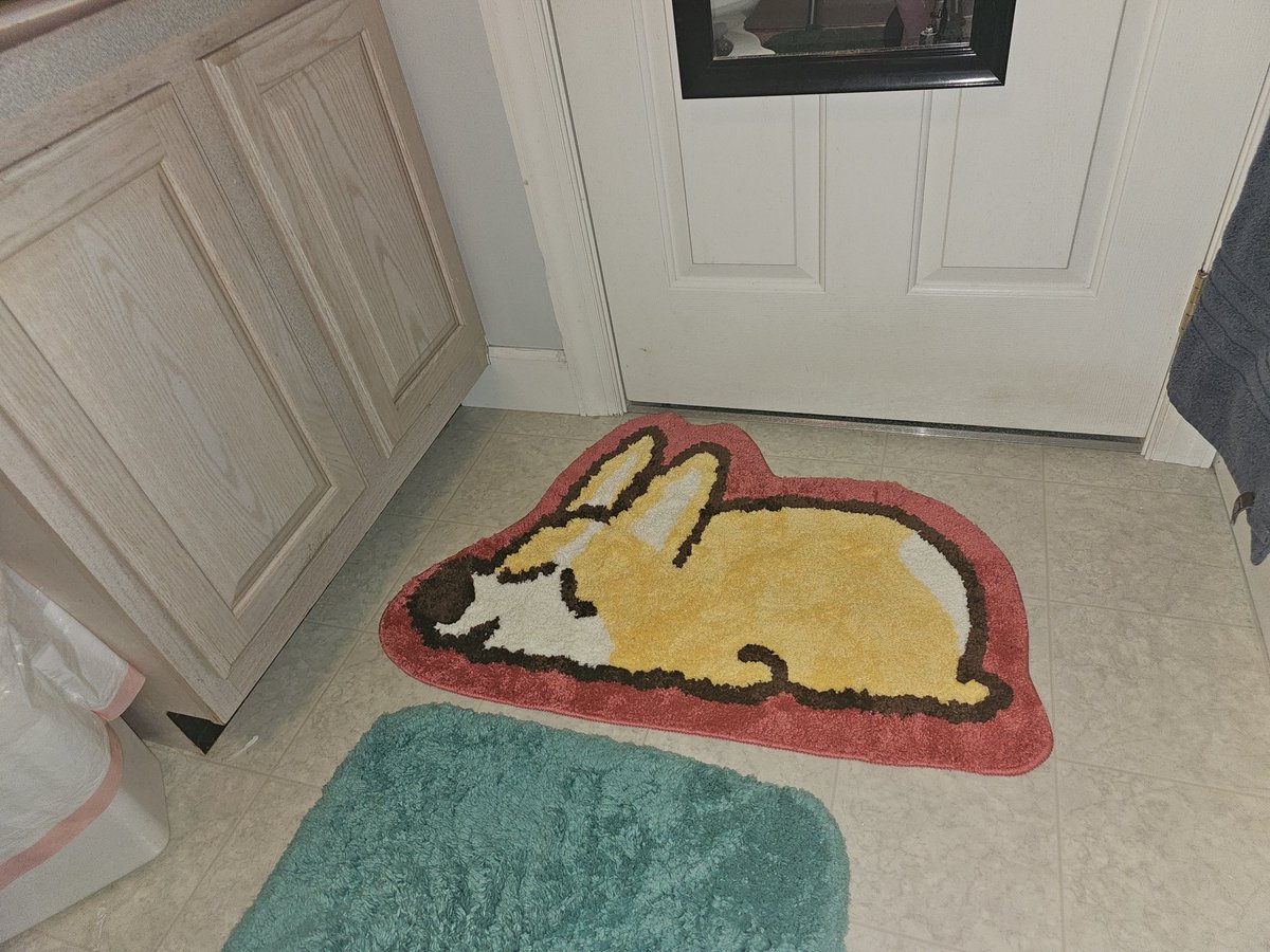 love my new bathroom rug! 😍 @NaomiRomeroArt