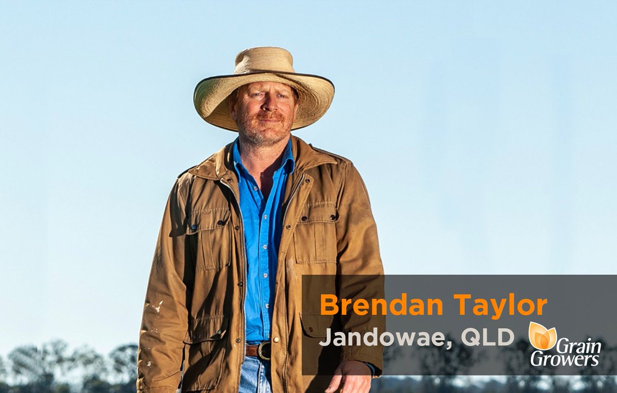 #PaddockPerspective 🚜 Brendan Taylor is a grower in Jandowae.

'We are full tilt spraying weeds and getting our summer crop, sorghum, in the ground. Ideally, we'd have done this sooner, but rain didn't show up until November.'

👉 Read more from Brendan: bit.ly/41xbNKx