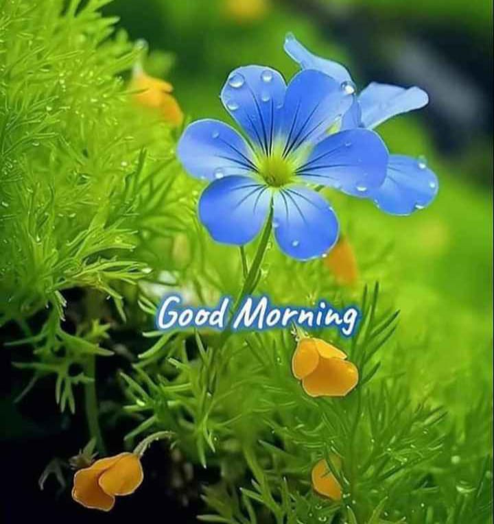 Vinod tweet media