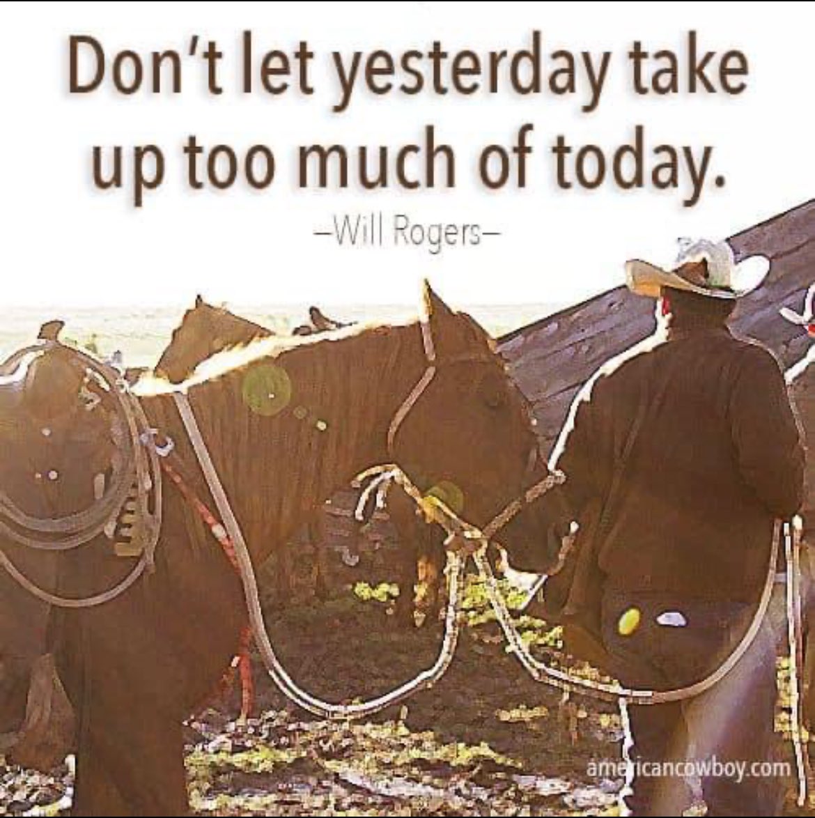 tags_data's tweet image. 