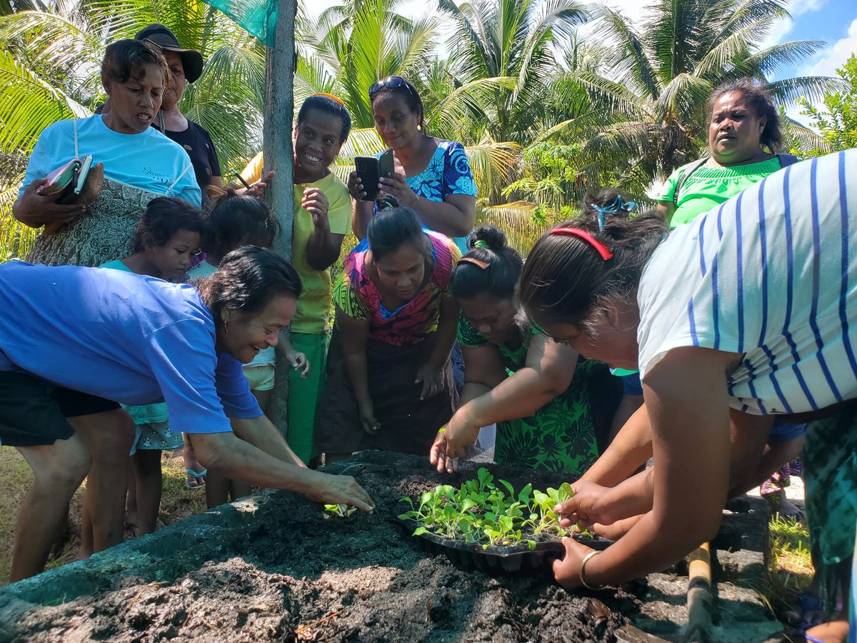 Exciting news from Kiribati! <a href="/GGGIPacific/">GGGI Pacific</a>  partnered with the Agriculture &amp; Livestock Division and the Ministry of Education to kickstart a 3-day training on a school gardening program. 8 Teachers &amp; 7 School Leaders from 8 schools joined to address food security issues #Kiribati