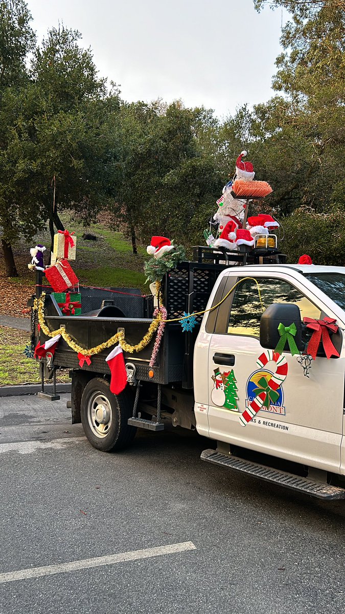 Julia Mates tweet media