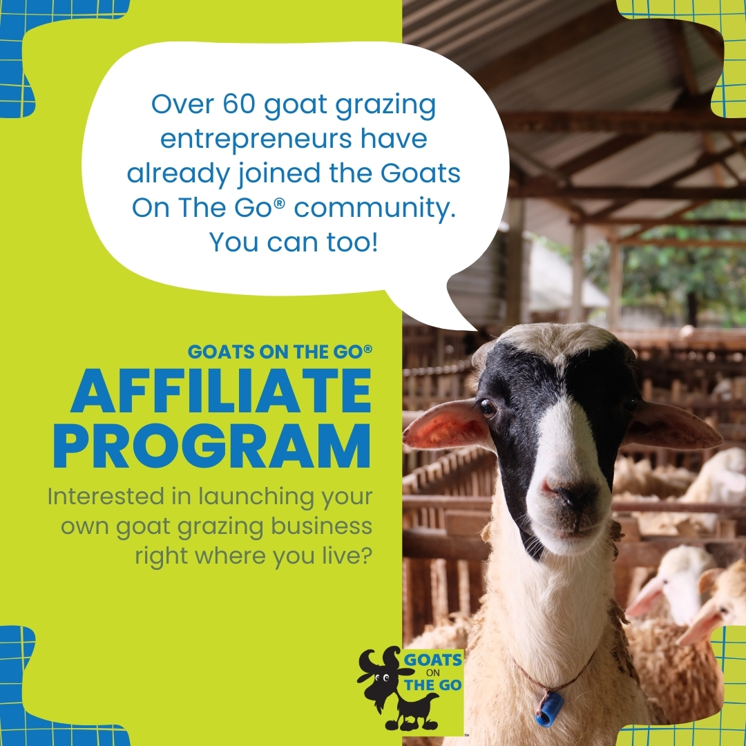 Looking for a new business venture? Join the Goats On The Go® Affiliate Program and be part of a supportive community of goat-grazing entrepreneurs!👊🌿

Interested? Get in touch with us at: goatsonthego.com/affiliate

#goatgrazing #goatrental #targetedgrazing #goats #goatsonthego