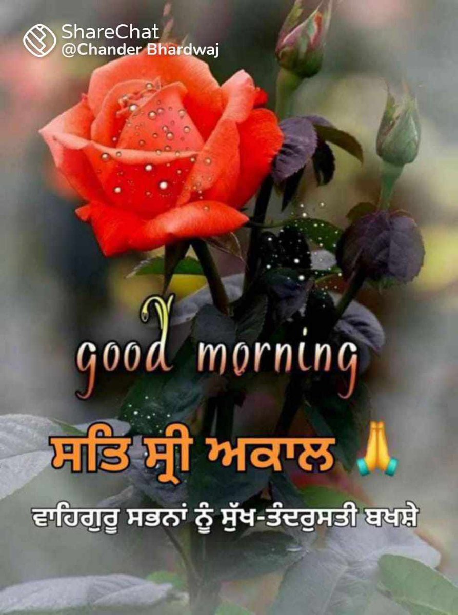 @BatraK9 @SoniaGurnani19 @AarTee33 @speakingmico @junejamkanju @ShilpaBJP @Billion478 @kuldip09kuldip @BSimrey @Harpree72889970 @IrvinderKaur @Dr_PB05 @kokityagi #SatnaamWaheGuru ji🙏