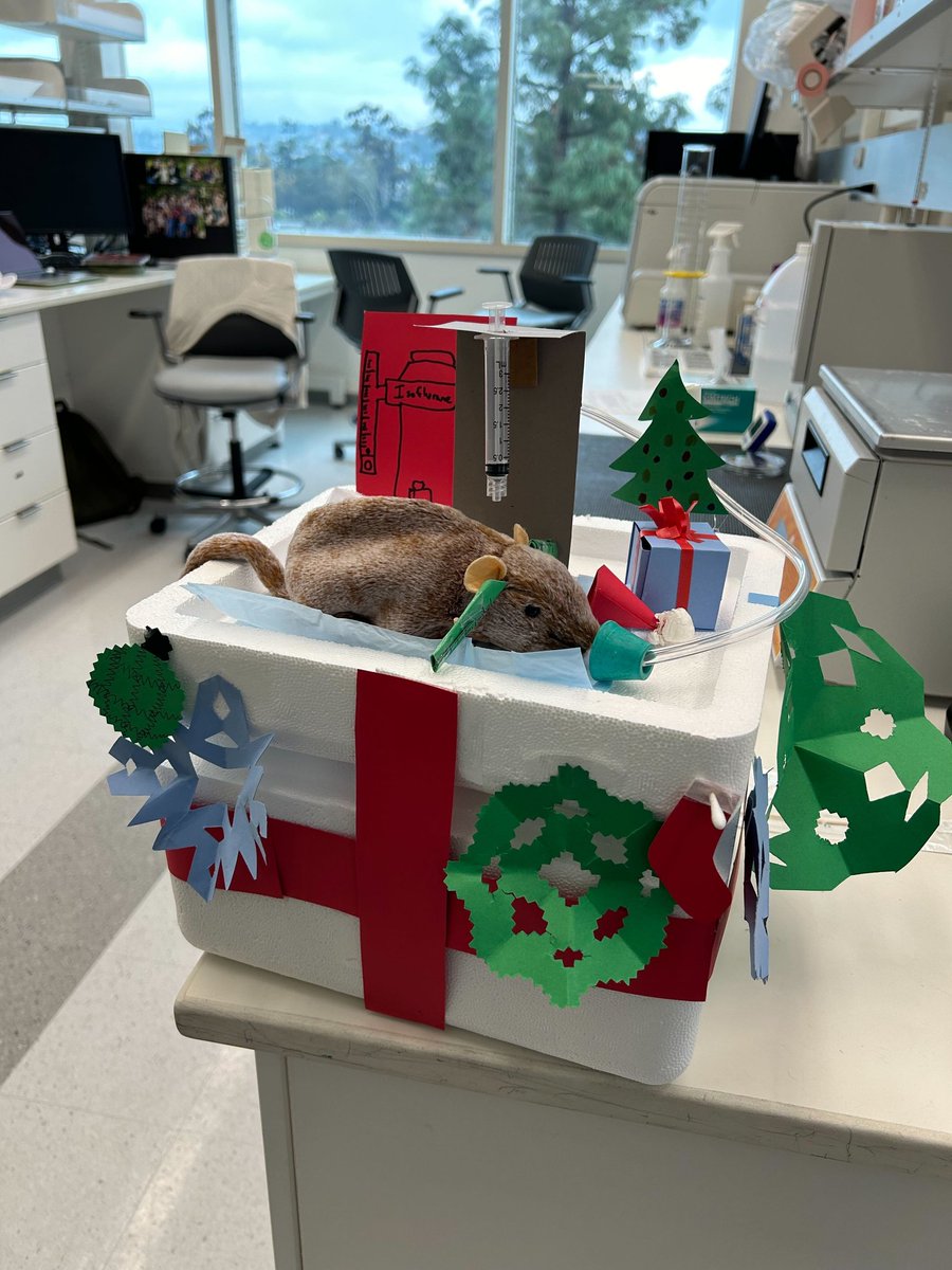 Celebrating another successful and fun year for our lab! 🧠🧪🧬 🎉 Needless to say, our brain holiday model took the cake in this year’s contest! 🐀🎉