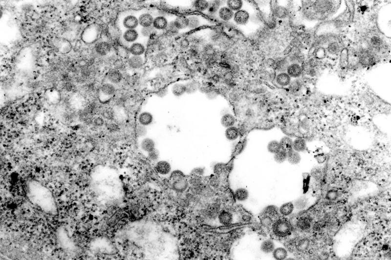 The Pirbright Institute (@pirbright_inst) on Twitter photo 🦠The Pathogens and Host Defences Doctoral Training Partnership is open for applications.
There are four joint studentships available to start in October 2024.
For more information and to apply ➡️ ow.ly/1EH750QkwX6
#OneHealth <a href="/UniOfSurrey/">University of Surrey</a> <a href="/dstlmod/">Dstl</a> <a href="/SussexUni/">University of Sussex</a> 🦠The Pathogens and Host Defences Doctoral Training Partnership is open for applications.
There are four joint studentships available to start in October 2024.
For more information and to apply ➡️ ow.ly/1EH750QkwX6
#OneHealth <a href="/UniOfSurrey/">University of Surrey</a> <a href="/dstlmod/">Dstl</a> <a href="/SussexUni/">University of Sussex</a>